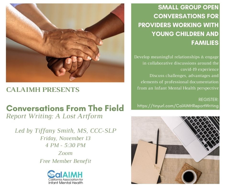 Conversations From the Field - Report Writing