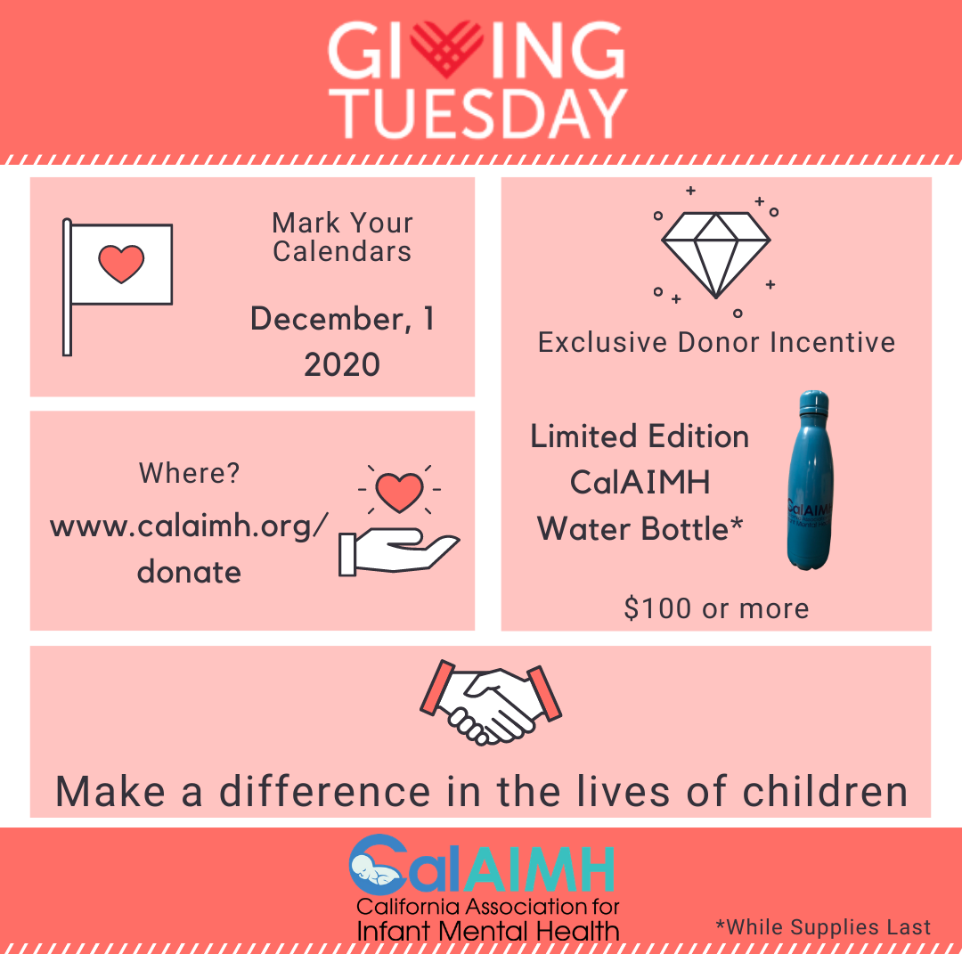 4) 11302020 - Giving Tuesday Reminder