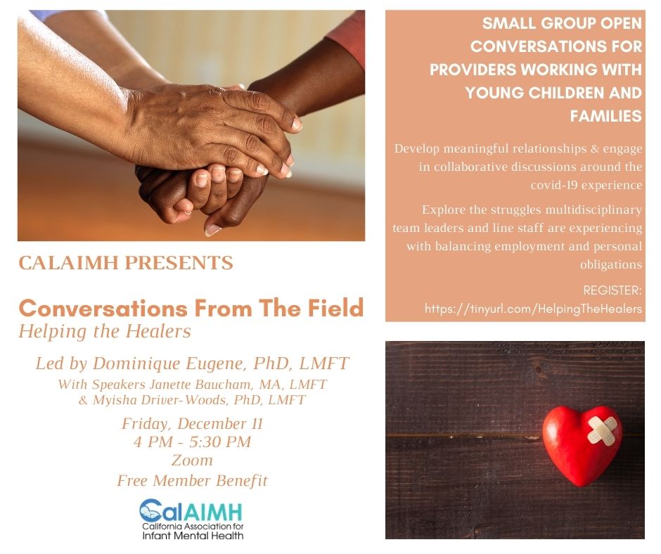 Conversations From the Field - Helping the Healers