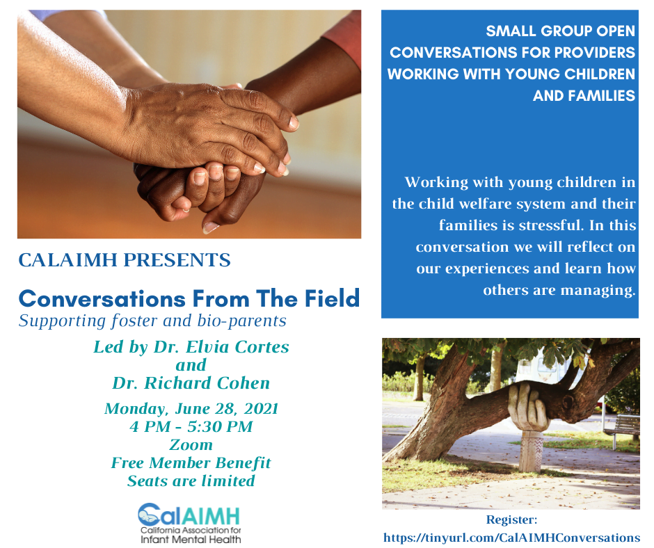Conversations From the Field - Supporting foster and bio-parents