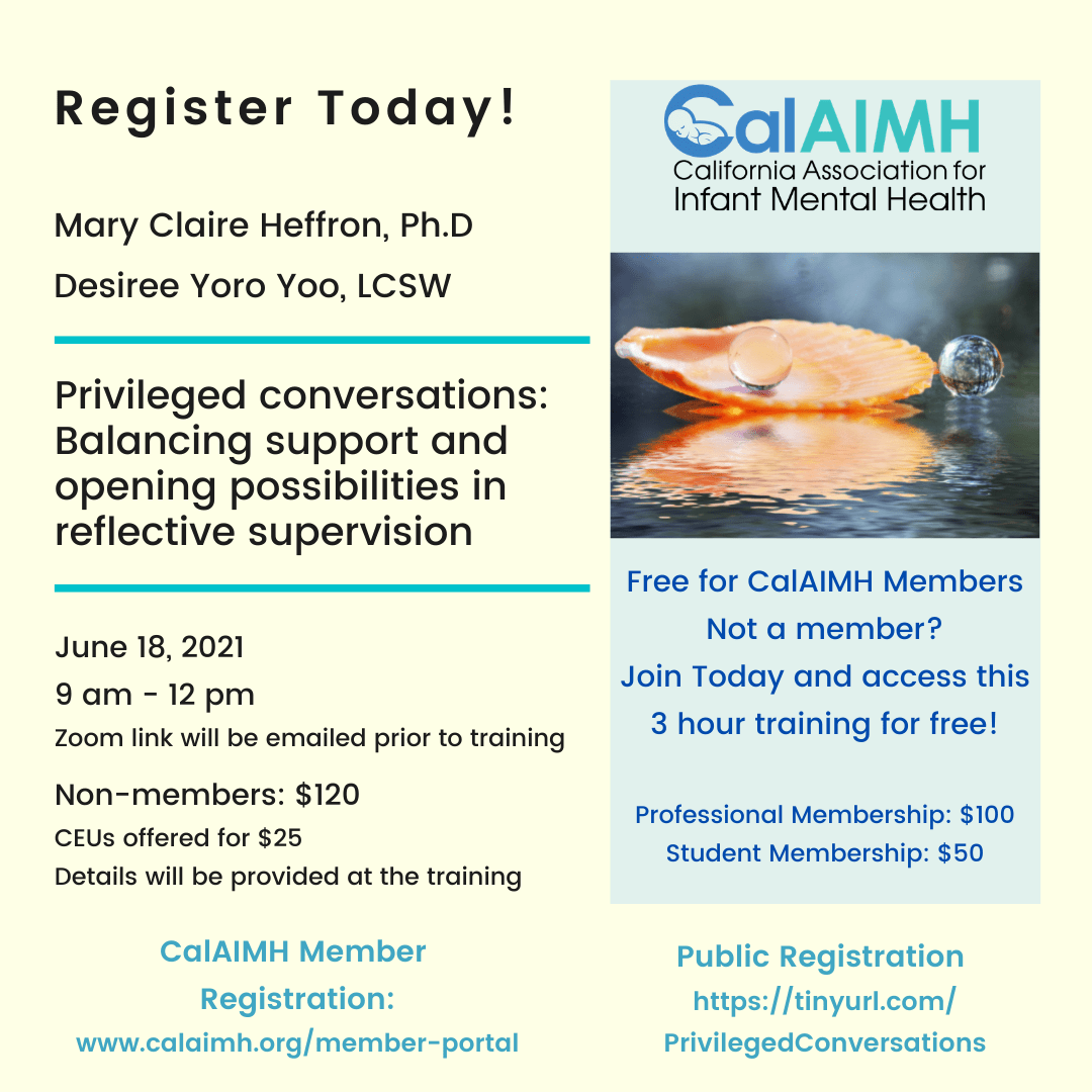 CalAIMH June 18 Training