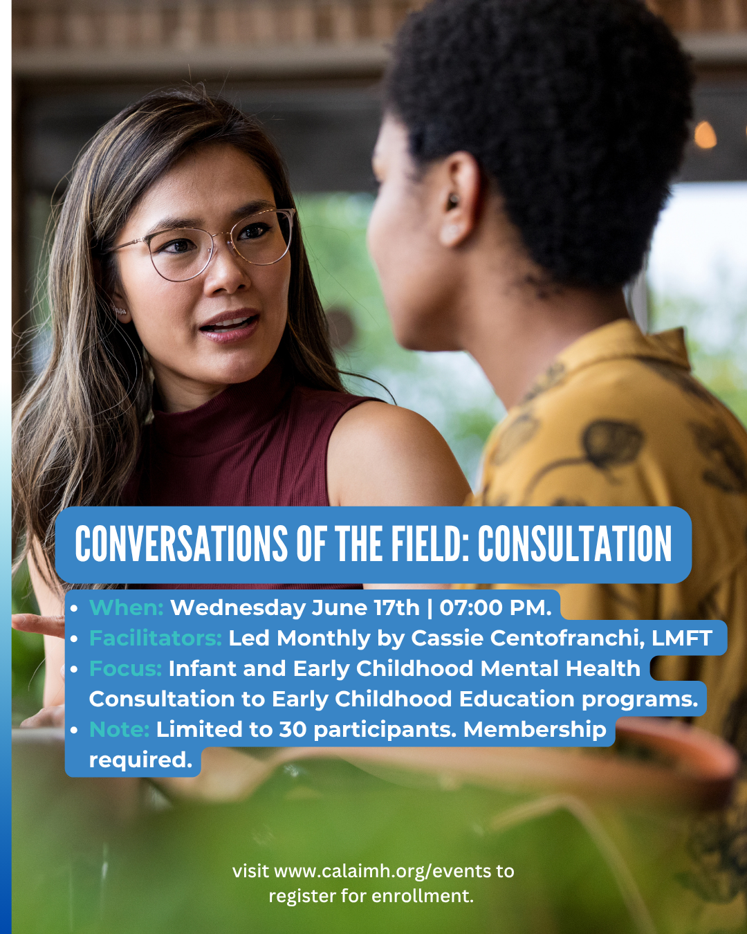 Conversations-of-the-Field-Consultation.png